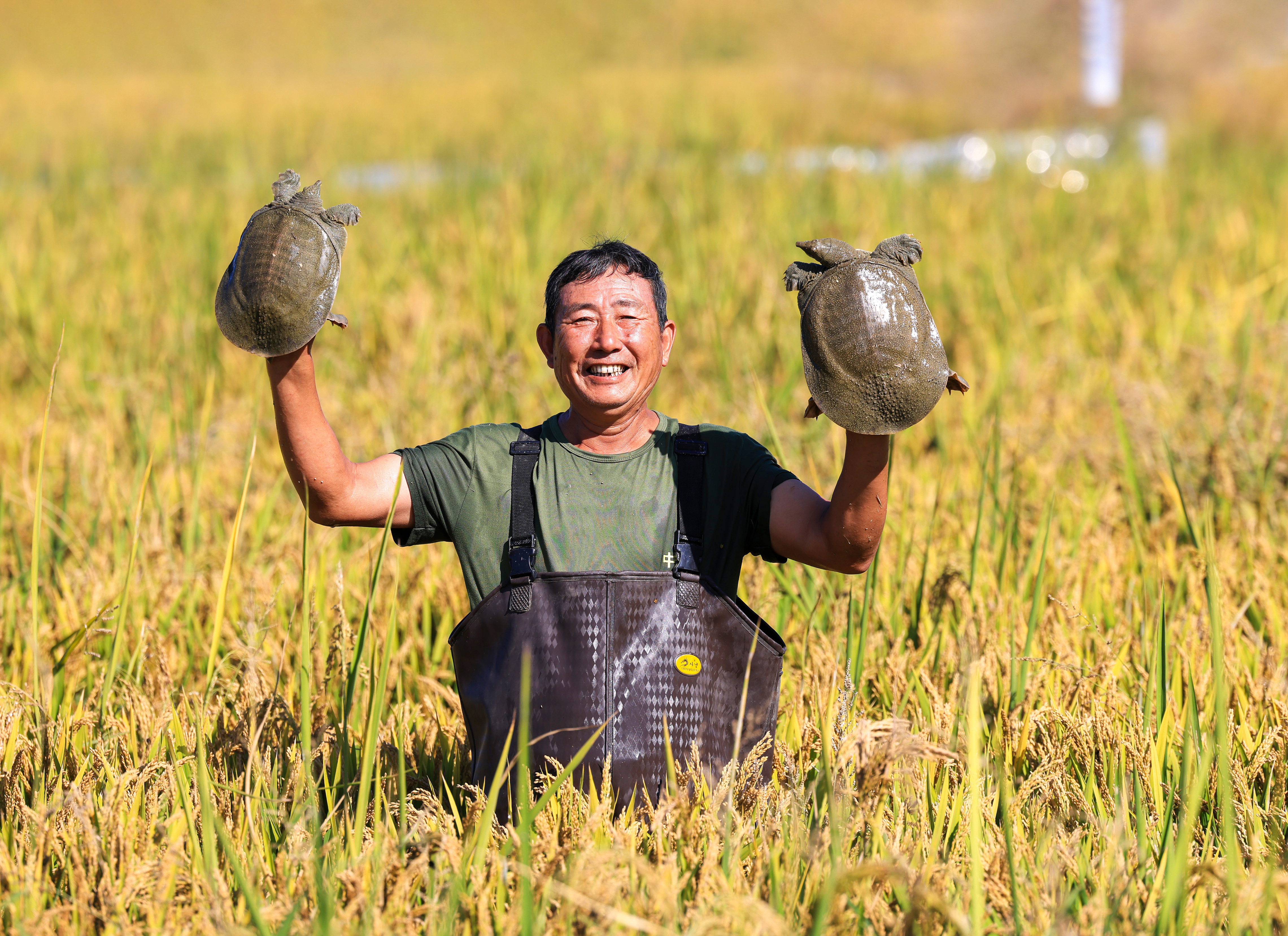 共養(yǎng)(1).jpg