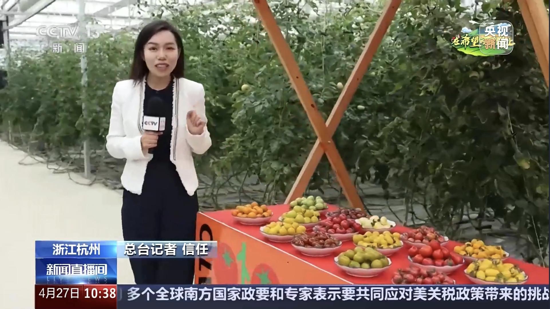 信任出境番茄.jpg